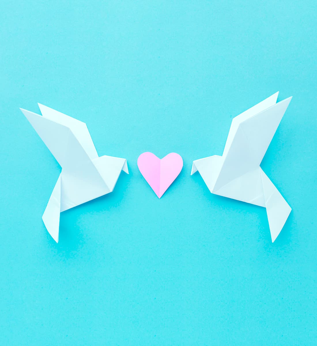 Doves at Weddings: Tradition, Ethics, and Alternatives for an Unforgettable Celebration