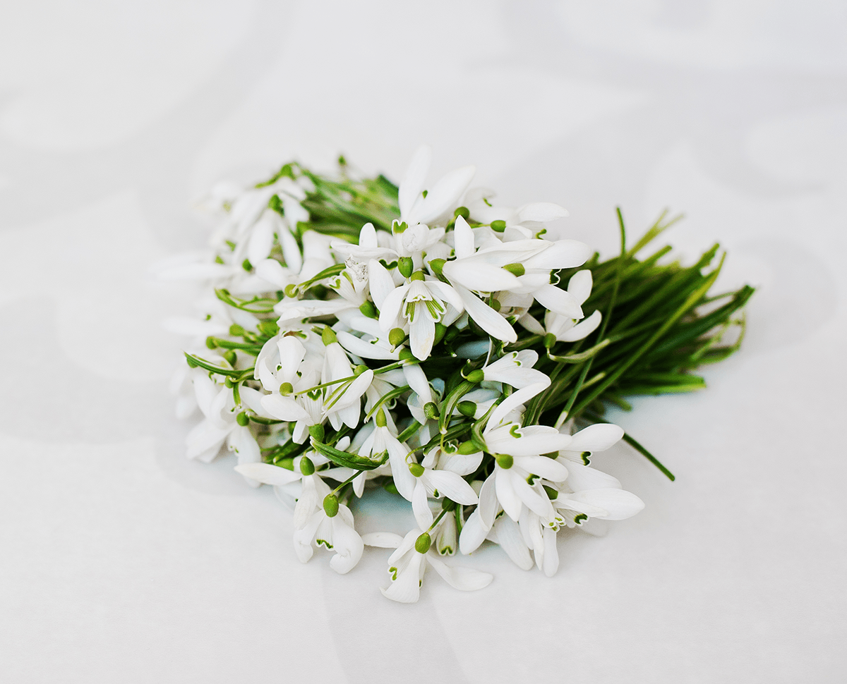 Букет Невесты Подснежники Свадебная Флористика