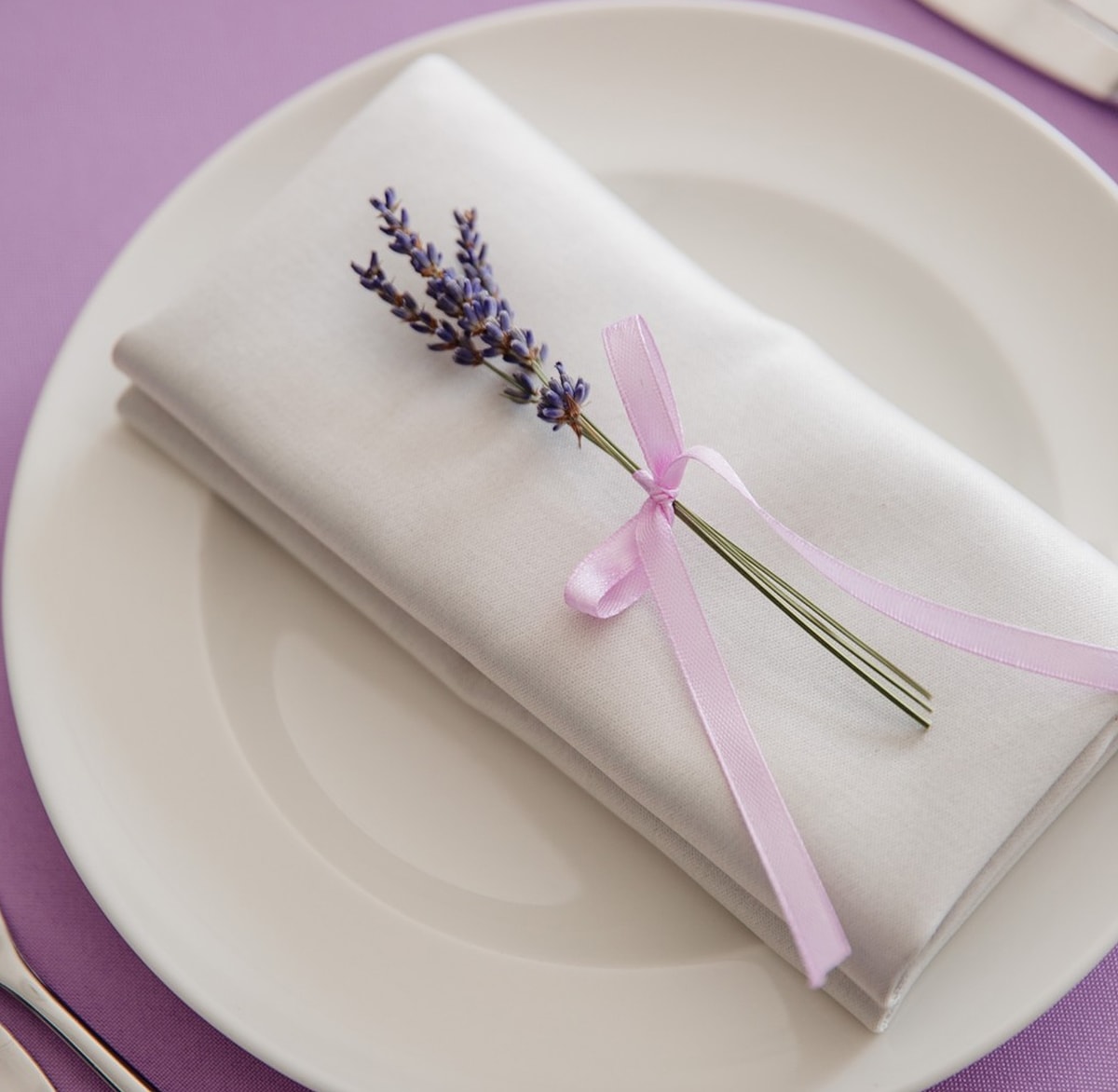 Свадьба В Стиле Прованс Теплица Парк