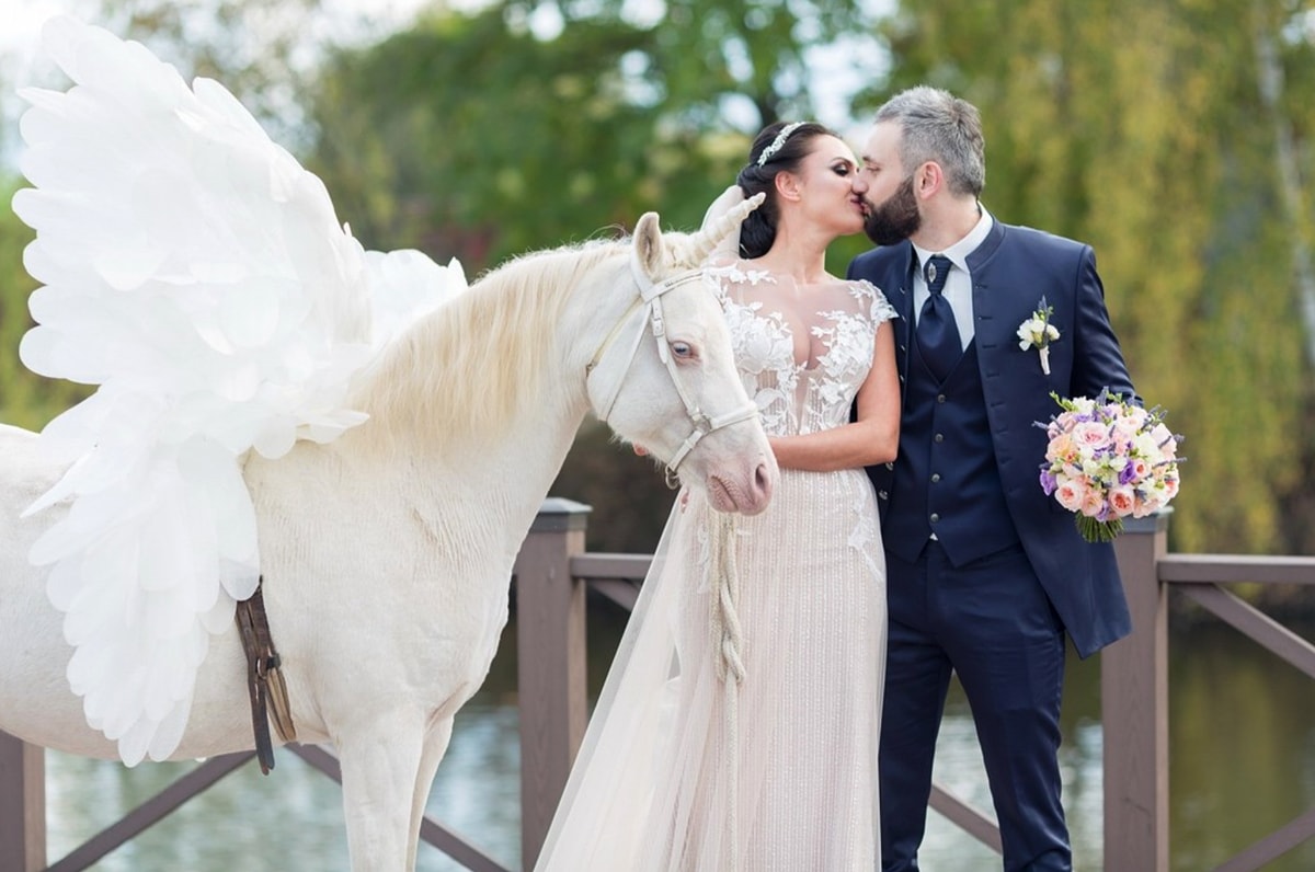 Развлечения На Свадьбе Идеи Теплица Парк