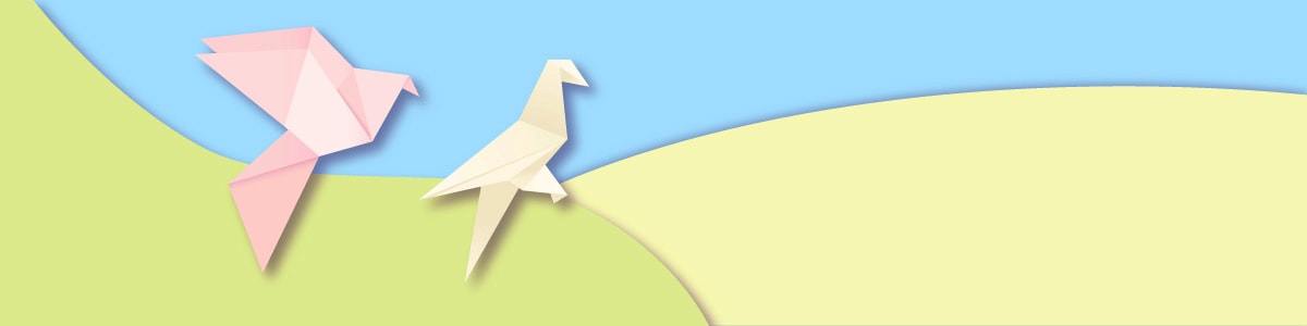 Развлечения На Свадьбе Традиции Выпускание Голубей 3