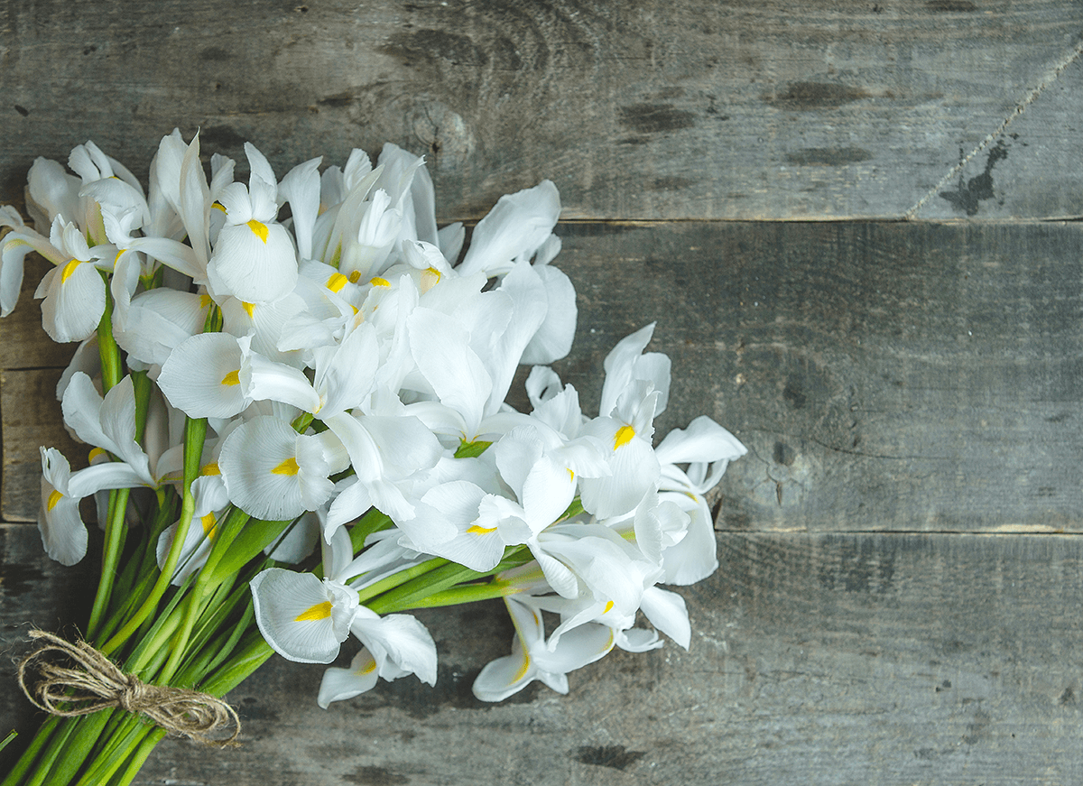 Букет Невесты Нарцисс Свадебная Флористика